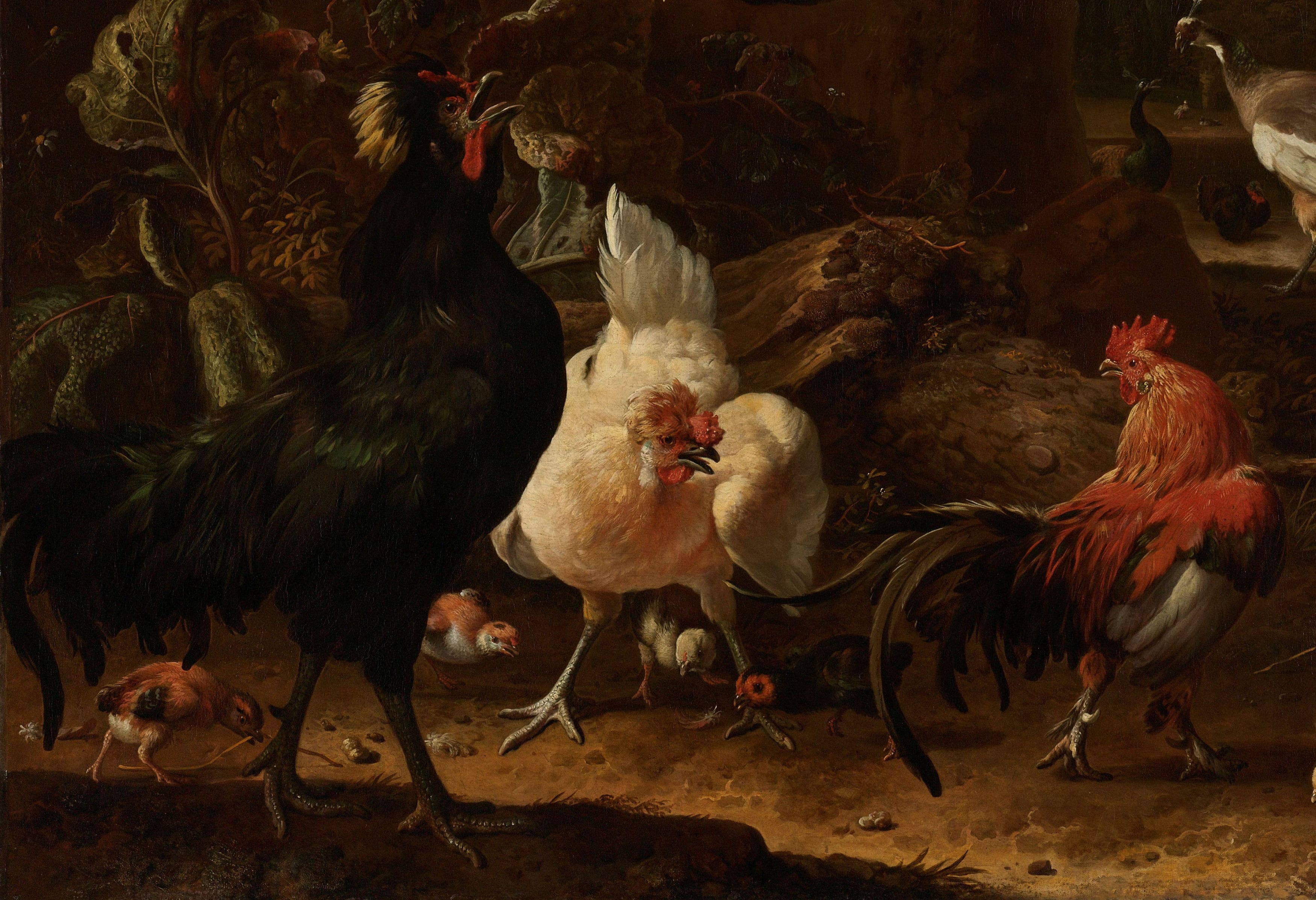 JAN | Jan Hendrik van der Westhuizen | The Easy Guide to Deboning a Chicken JAN | Jan Hendrik van der Westhuizen | The Easy Guide to Deboning a Chicken