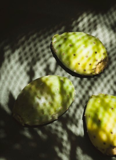 JAN-Prickly Pear Plant Based